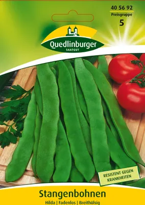 Produktbild von Quedlinburger Saatgut - Stangenbohnen Hilda - Samen - 405692