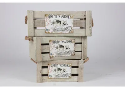 Image de Caisses en bois Lot de 3 boîtes de rangement Corbeille à fruits Pomme Ordre Stockage Décoration