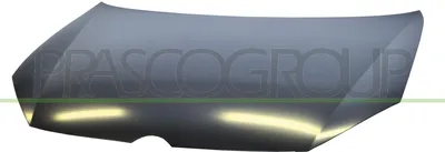 Produktbild von PRASCO VG0383100 Motorhaube für VW GOLF VI (5K1)