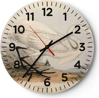 Produktbild von Wanduhr - Rund - Glasuhr - Vogel Weiß Reiher - 40x40cm - Schleichendes Uhrwerk - Lautlos - zum Aufhängen bereit - Dekoration Modern - Wanddekoration aus Glas - C4AR40x40-4979