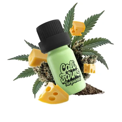 Zdjęcie produktu dla Konopne terpeny Botanicals | PROFIL TERPENOWY - Cheese | 1 ml