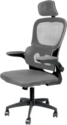 Productafbeelding van Ergonomische bureaustoel, verstelbare bureaustoel met hoofdkussen, armleuningen, lendensteun, draaistoel, verstelbare hoogte, computerstoel, draagvermogen 150 kg (grijs)