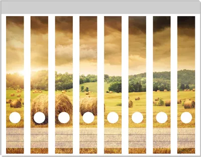 Produktbild von Wallario Ordnerrücken Sticker, selbstklebend für schmale Ordner, 8 Stück, Motiv Strohballen auf dem Feld bei Sonnenuntergang
