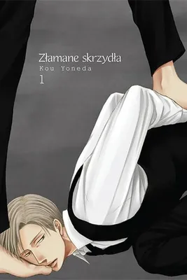 Zdjęcie produktu dla Złamane skrzydła 1
