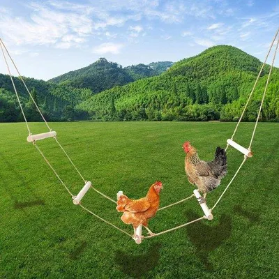 Image de Perchoir à bascule extra long en bois naturel pour poulailler - jouet pour poules et oiseaux - perchoir pour volailles - perchoir extérieur - 350 cm