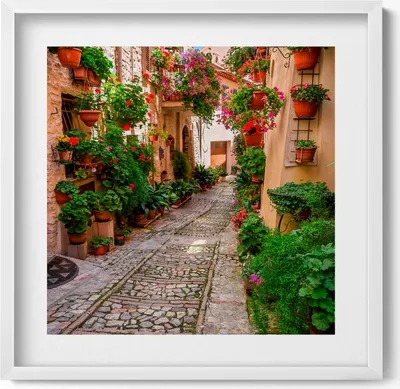 Produktbild von Eine blumengeschmückte Straße in Italien– Wandbild mit Rahmen – Gerahmtes Bild  – Wanddekoration – 50x50 cm –  Weiß Rahmen