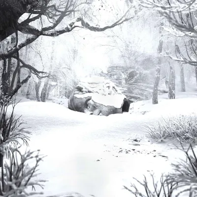 Produktbild von SZNZ:Winter