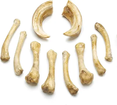 Produktbild von Knochenset aus Gießharz - Wahrsager (10 Stk.)