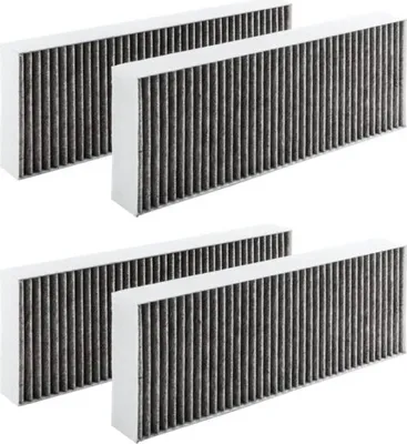 Produktbild von BORA Basic, BAKFS Original 2er Set (4 Stück) Aktivkohlefilter BAKFS für BHU/BIU/BFIU ++ Lagerware ++