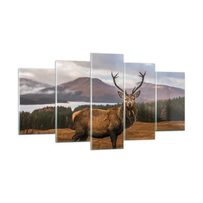 Produktbild von Bilder auf glas - 5 Teile - Rehe Wiese Berge - 160x85cm - Glasbilder - Wandbilder - Bilder - zum Aufhängen bereit - Wanddekoration aus Glas - Glas Bilder - Wandbild auf Glas - GEA160x85-4231
