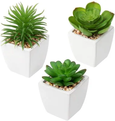 Immagine prodotto di Set di piante decorative in plastica, Vetroceramica, 3 pezzi, decorazione