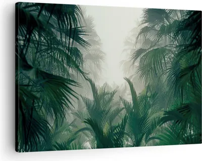 Produktbild von Bild auf Leinwand - Leinwandbild - Einteilig - Dschungel Blätter Palmen - 70x50cm - Wand Bild - Wanddeko - Wandbilder - Leinwanddruck - Bilder - Wanddekoration - Leinwand bilder - AA70x50-4504