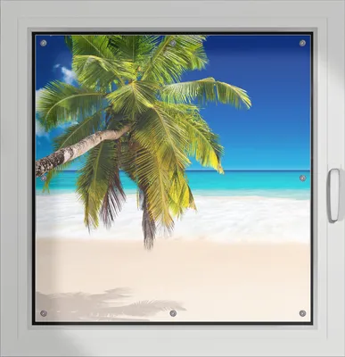 Produktbild von Wallario Lichtschutzbild, Dekorativer Sichtschutz Sonnenschutz 96 x 93 cm mit Motiv: Südseestrand in der Karibik mit Palme - Verdunklung ohne Bohren