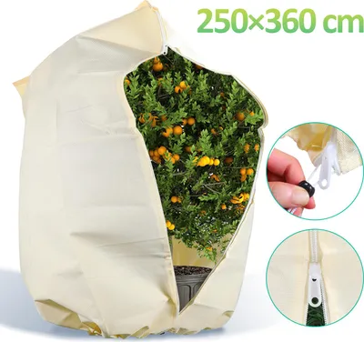 Image de Jayseuw 1x protection hivernale 250x360cm pour plantes en bacs Palmiers Protection hivernale Plantes Non-tissé de jardin 100g/m