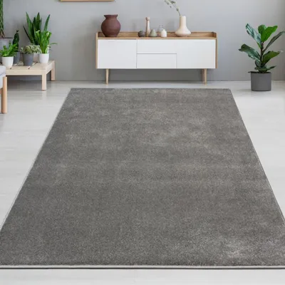 Image de Tapis anthracite clair moderne uni élégant intemporel robuste Taille - 160 cm Rond