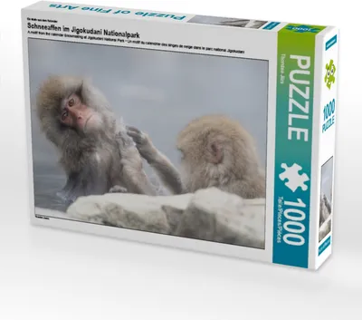 Produktbild von CALVENDO Puzzle Ein Motiv aus dem Kalender Schneeaffen im Jigokudani Nationalpark 1000 Teile Puzzle quer | 1000 Teile Lege-Größe 64x48cm Foto-Puzzle für glückliche Stunden
