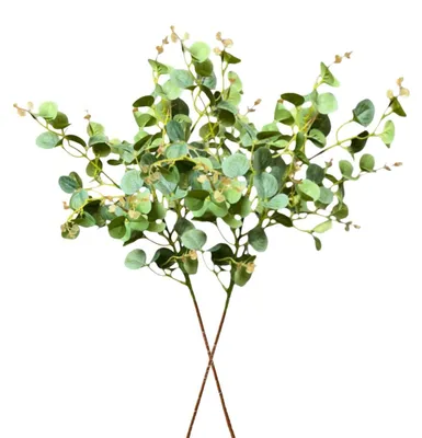 Zdjęcie produktu dla Sztuczne liście eukaliptusa, jedwab, 75 cm, zielone, 2 sztuki