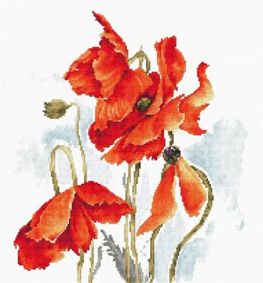 Immagine prodotto di Luca-S set per punto croce "Papaveri VI", schema contato, 24x28cm
