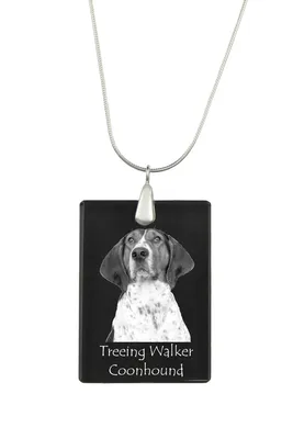 Obrázek produktu pro Treeing Walker Coonhound - Křišťálový přívěsek se psem, stříbrný náhrdelník s fotografií, personalizovaný přívěsek značky Art-Dog