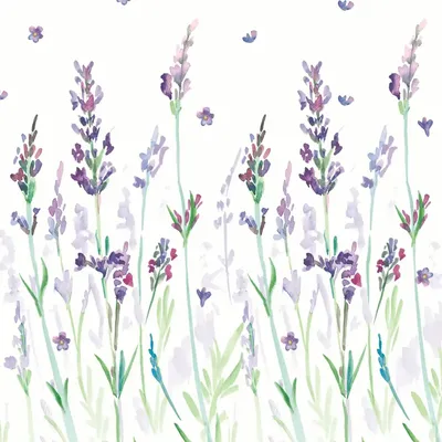 Produktbild von 20 Servietten Lavendream - Gemalter Lavendel zur Wiese 33x33cm