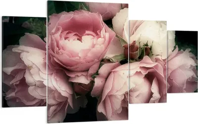 Produktbild von Bild auf Leinwand - Leinwandbild - Pfingstrose Blume - 160x90cm - Wand Bild - Wanddeko - Wandbilder - Leinwanddruck - Bilder - Kunstdruck - Wanddekoration - Leinwand bilder - Wandkunst - DL160x90-3930