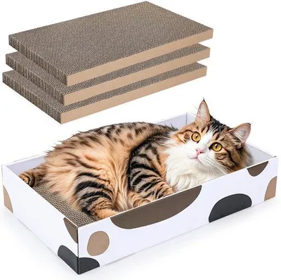 Immagine prodotto di Targhetta in cartone per gatti, 3 pezzi, 43 x 26 cm
