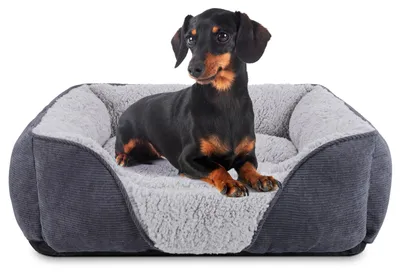 Immagine prodotto di Omgoods - Cuscino morbido per cani e gatti di piccola taglia, lavabile