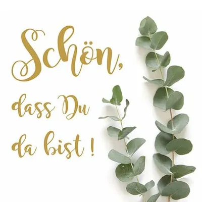 Produktbild von 20 Servietten Elegant green - Schön an Eukalyptus 33x33cm