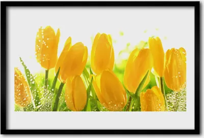 Produktbild von Bild 60x40 MDF-Rahmen Wandkunst Tulpen Blumen Pflanze
