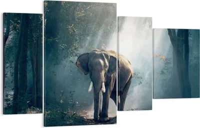 Produktbild von Bild auf Leinwand - Leinwandbild - elefant natur - 120x70cm - Wand Bild - Wanddeko - Wandbilder - Leinwanddruck - Bilder - Kunstdruck - Wanddekoration - Leinwand bilder - Wandkunst - DL120x70-3972