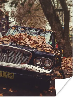 Produktbild von MuchoWow® Poster Auto - Herbstblätter - Landleben 120x160 cm - Wandbilder