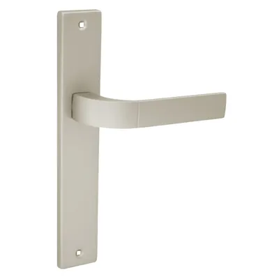 A single door handle with a backplate, shown against a white background.