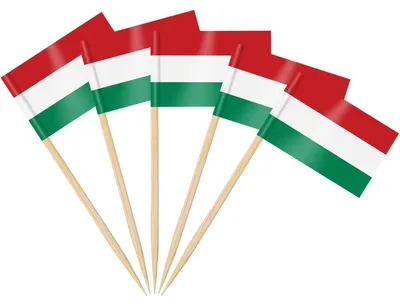Zdjęcie produktu dla Szaszłyki na patyczkach z flagami Węgier, 200 sztuk, idealne na imprezy i dekoracje