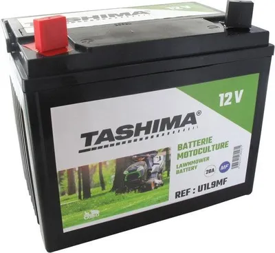 Image de Batterie gel F1 12V 28 AH + à gauche