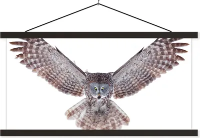 Produktbild von MuchoWow® Textilposter Fliegende Eule 60x30 cm mit schwarzem Rahmen - Textilien