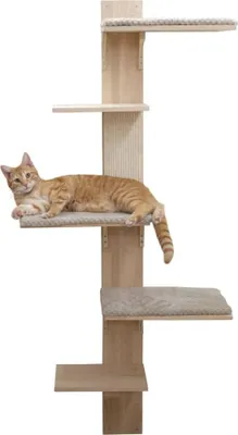 An orange cat is resting on a multi-level cat tree.