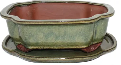 Zdjęcie produktu dla miska bonsai ze spodkiem rozmiar 4 oliwkowo-brazowy haitang/obal model i4 l 26cm w 20.5cm h 8.5cm