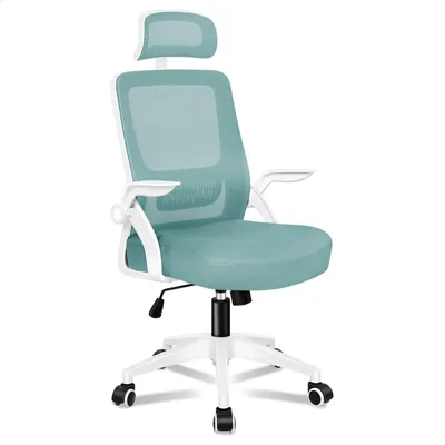 Produktbild von ALFORDSON Büro-Schreibtischstuhl, ergonomisch für Heimbüro, Computer-Netzstuhl mit dynamischer Lordosenstütze, Kopfstütze, Blue