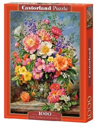 Produktbild von Castorland 1000-teiliges Puzzle, Juni-Blumen in voller Pracht, Blumen- und Pflanzenpuzzle, Gemäldepuzzle, Puzzles für Erwachsene, Castorland C-103904-2
