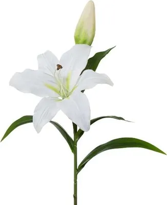 Produktbild von artplants.de Kunstblume Lilie XERNA, weiß, 50cm - Deko Lilie