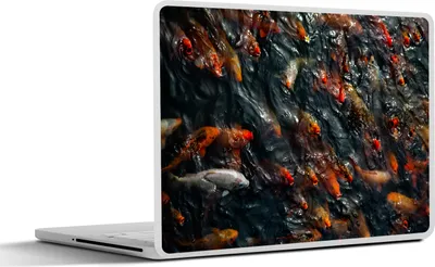 Produktbild von MuchoWow® Laptop Aufkleber Sticker Cover Ein Teich mit einer großen Gruppe von Koi-Karpfen 40x30 cm - Laptop Dekoration - Selbstklebend