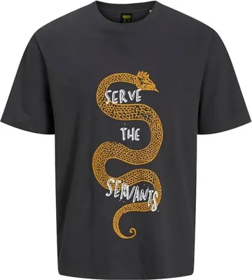 Zdjęcie produktu dla Jack & Jones Nirvana Styd Kurzarm t-shirt Grau M Herren Grau M