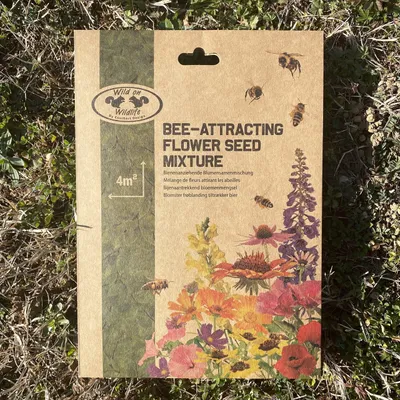 Image de Mélange de fleurs pour attirer les abeilles