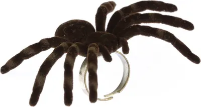 Produktbild von Spinnenring große Vogelspinne Ring Miniblings Halloween Tarantel Fingerring