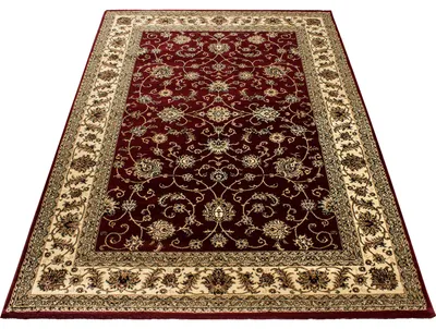 Produktbild von Carpetsale24 Klassischer Orientteppich mit orientalischem Muster Wohnzimmer Teppich pflegeleicht und dekorativ, Grösse: 300x400 cm
