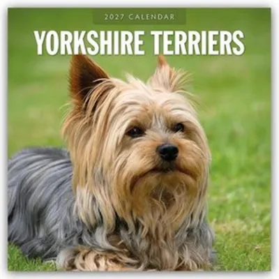 Produktbild von Yorkshire Terriers - Yorkshire Terrier 2027 - 16-Monatskalender