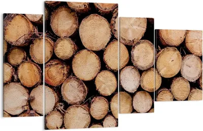 Produktbild von Bild auf Leinwand - Leinwandbild - 4 Teile - Holz Baumstämme Stämme - 120x70cm - Wand Bild - Wanddeko - Wandbilder - Leinwanddruck - Bilder - Wanddekoration - Leinwand bilder - DL120x70-4864