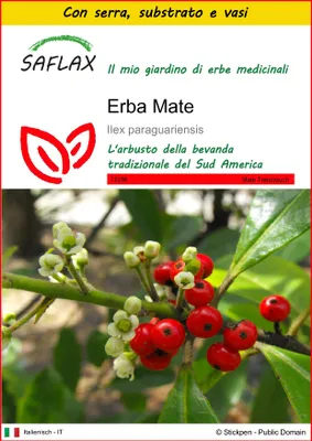 Immagine prodotto di SAFLAX Insieme di coltivazione - Erba Mate - 10 semi - Ilex