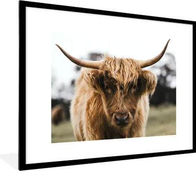 Produktbild von MuchoWow® Gerahmtes Poster Schottischer Highlander - Kuh - Gras - Tiere - Natur 80x60 cm - Poster mit Schwarzem Bilderrahmen Wandposter Rahmen Foto Bilder - Schlafzimmer-Dekorationen - Fotoposter
