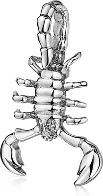 Produktbild von MATERIA by Matthias Wagner Skorpion Anhänger für Kette Herren 925 Sterling Silber massiv KA-84